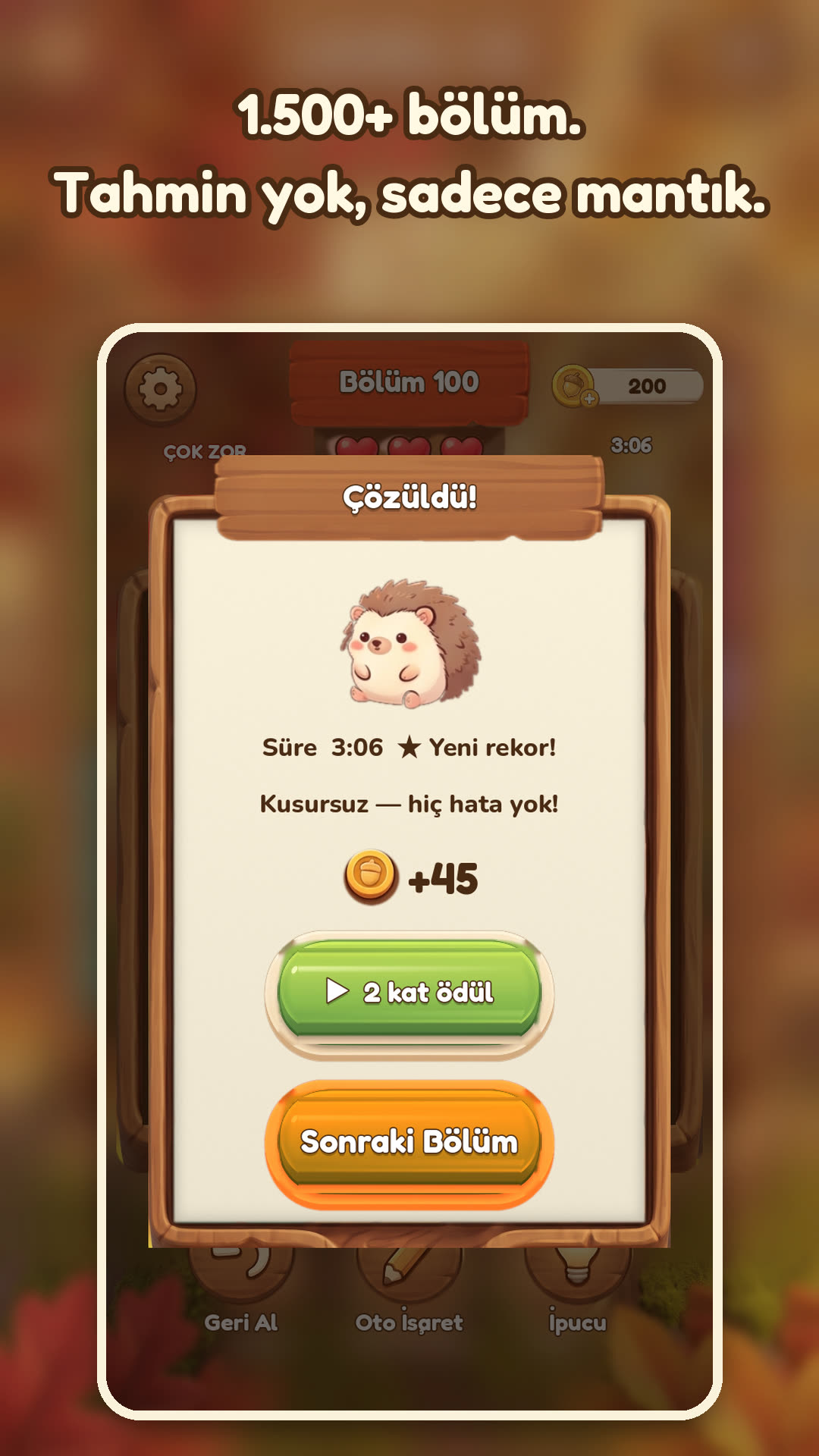 Hedgehug telefon ekranı 6